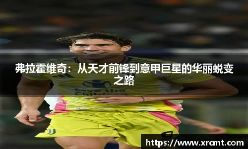 弗拉霍维奇：从天才前锋到意甲巨星的华丽蜕变之路